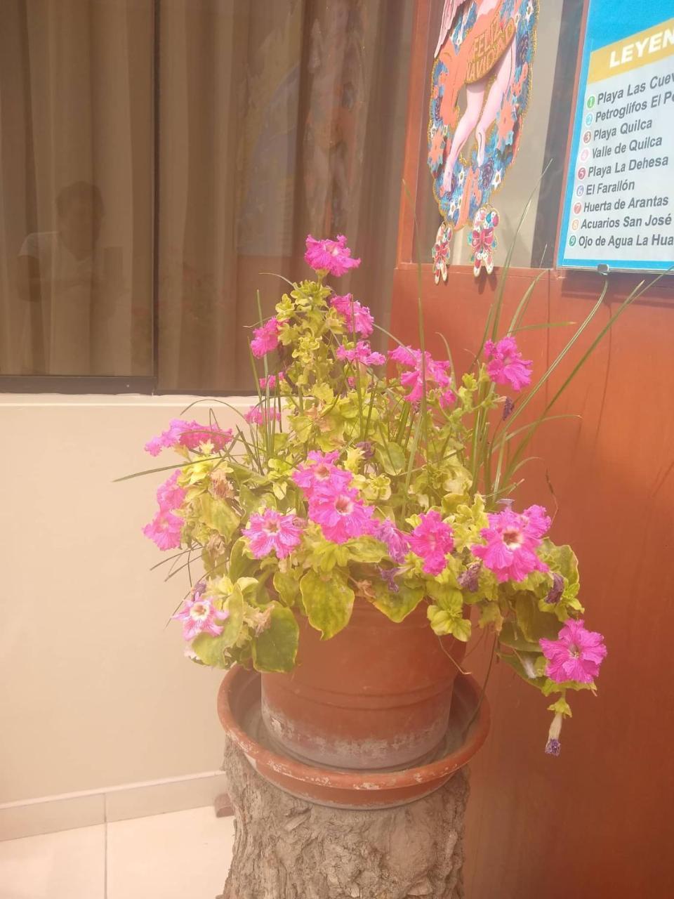 Hospedaje Golden Inn Camaná Dış mekan fotoğraf